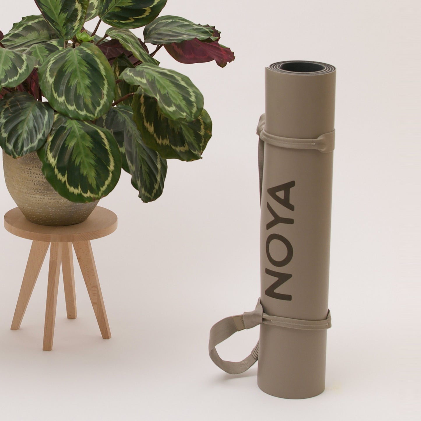 NOYA Carry Strech Strap