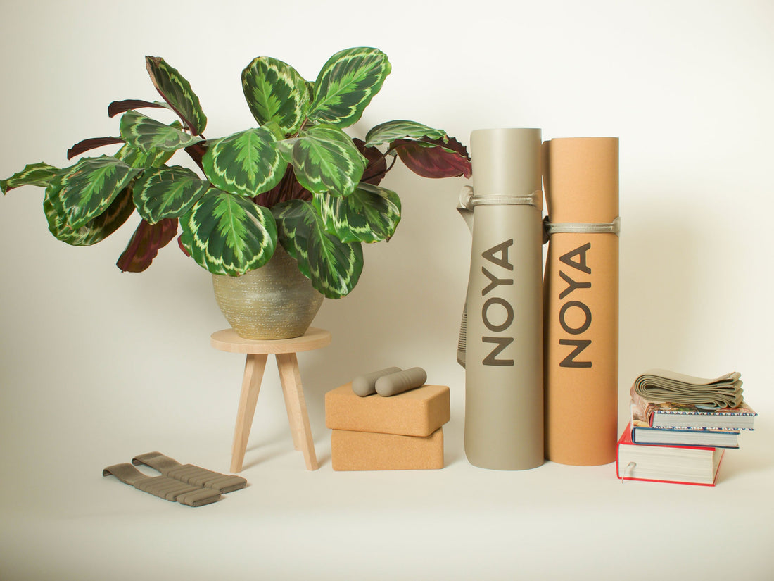 Our First Shipment Is Almost Here