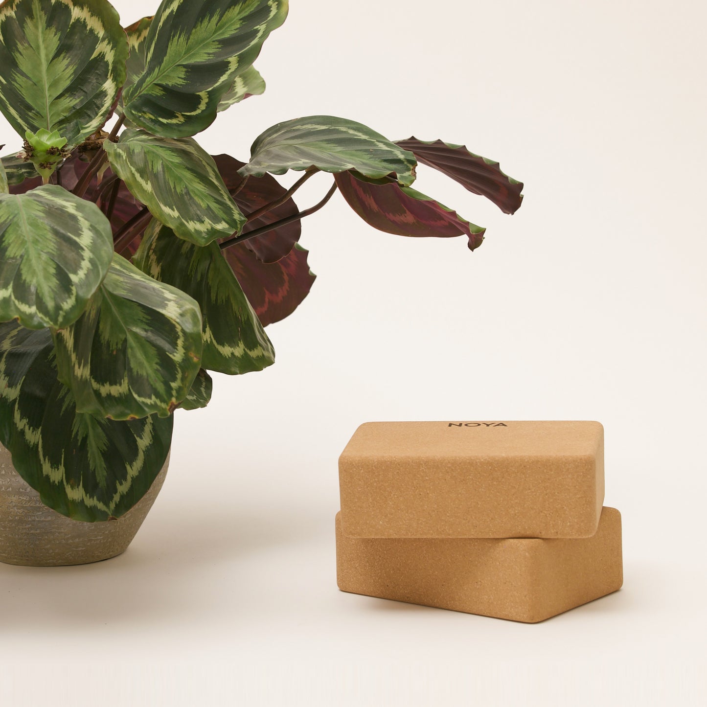 NOYA Cork Block
